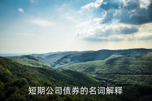 什么叫銀行短期債券，我國銀行的短期借入債市場是什么呢謝謝回答