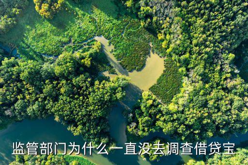 E租寶都抓了為什么不抓借貸寶，公安怎么不查借貸寶