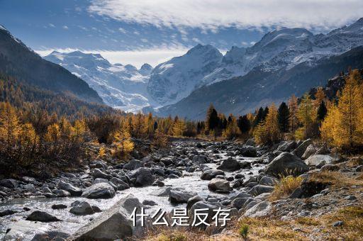銀行匯款什么叫反存，反納在銀行是甚么意思
