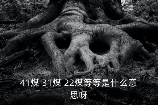 什么叫三二煤，2煤3煤什么意思