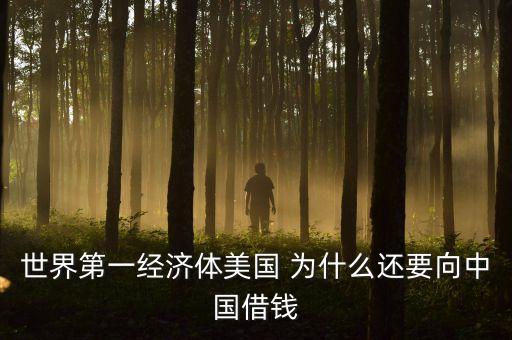 美國為什么借錢，世界第一經(jīng)濟(jì)體美國 為什么還要向中國借錢