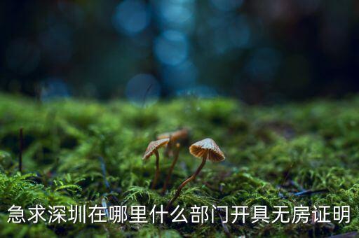坪山國(guó)土局在什么地方，深圳哪座山比較有趣