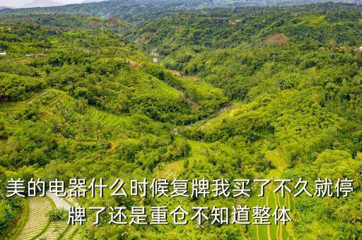 美的整體上市有什么好處，美的集團(tuán)整體上市有沒(méi)有更好的選擇或方案