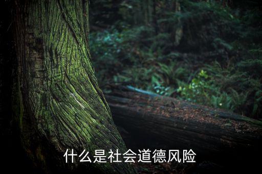 什么是社會風(fēng)險，什么是社會道德風(fēng)險