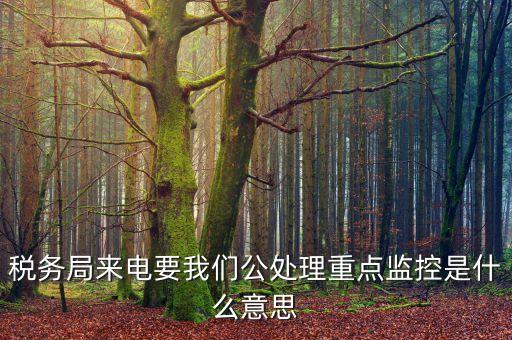 稅務(wù)局來電要我們公處理重點監(jiān)控是什么意思