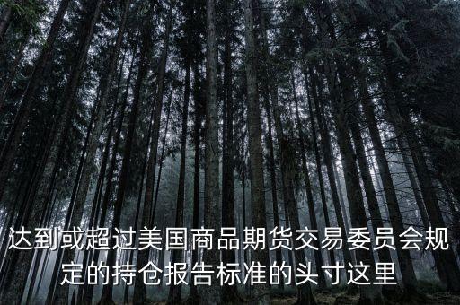 達(dá)到或超過美國商品期貨交易委員會規(guī)定的持倉報告標(biāo)準(zhǔn)的頭寸這里