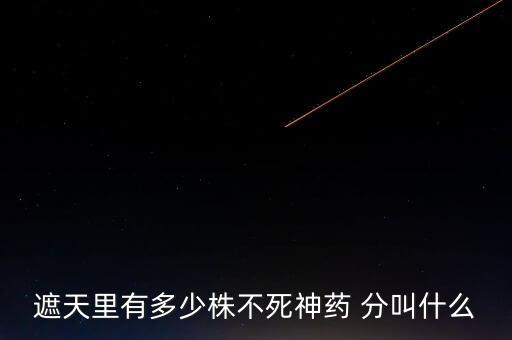 神藥代表什么，圣經(jīng)黃金沫藥什么含義