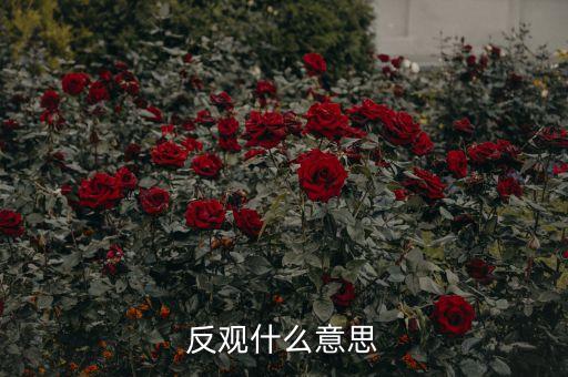 反觀當(dāng)下是什么意思，求英語大神翻譯反觀當(dāng)下