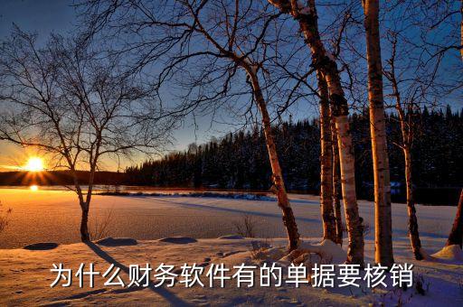 應(yīng)付款核銷是什么意思，用友中核銷處理的意思是什么通俗點