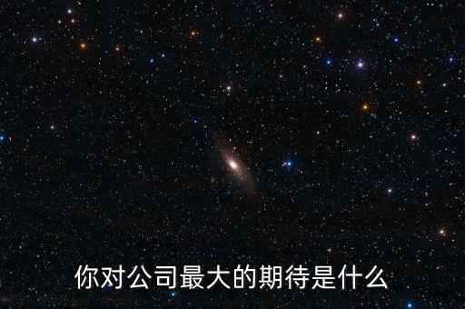 你對(duì)公司最大的期待是什么
