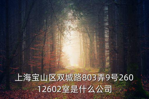 上海柏智方德是什么公司，上海寶山區(qū)雙城路803弄9號26012602室是什么公司