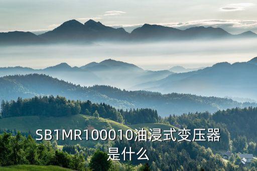 油浸式變壓器什么是酚推，SB1MR100010油浸式變壓器是什么