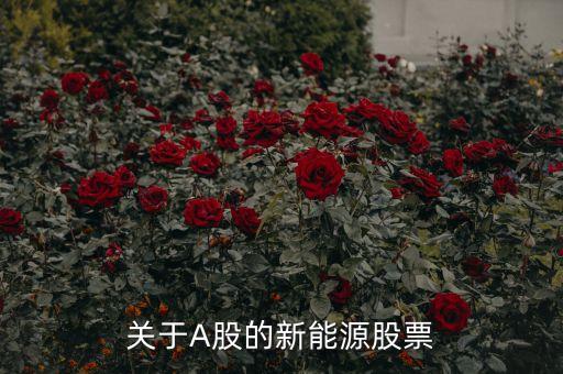 東華能源股票為什么，東華能源定向增發(fā)