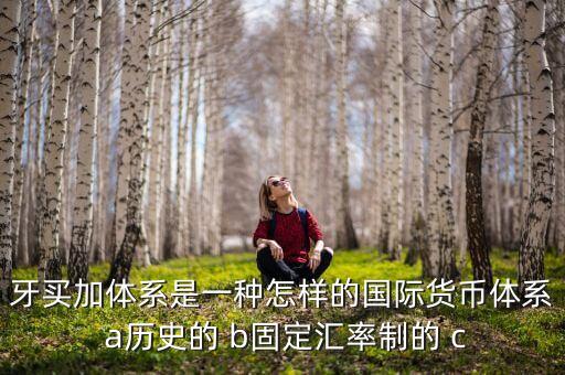 牙買加錢幣是什么樣，牙買加體系下的匯率制度具有多樣性可以歸結(jié)為三類