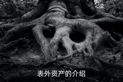 什么是表外資金，表外資產(chǎn)的介紹