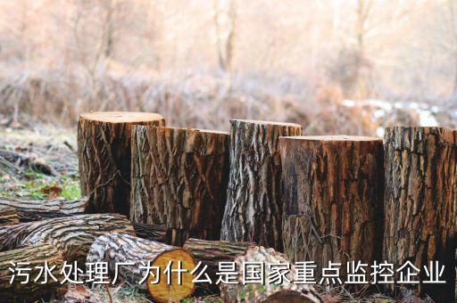 重點監(jiān)控企業(yè)為什么，稅務(wù)局來電要我們公處理重點監(jiān)控是什么意思