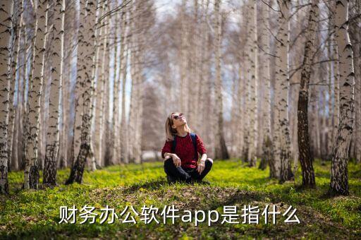 財務(wù)辦公軟件app是指什么