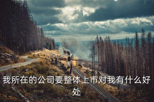 我所在的公司要整體上市對我有什么好處