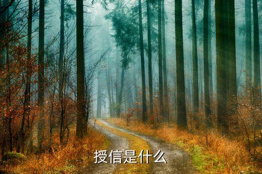 授信是什么
