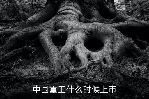 中國重工什么時候增發(fā)，中國重工上市時間
