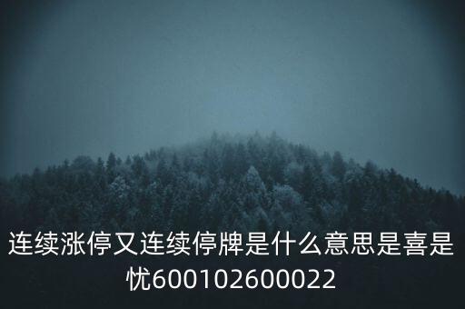 600139連續(xù)停牌是什么意思，股票連續(xù)停牌是什么意思