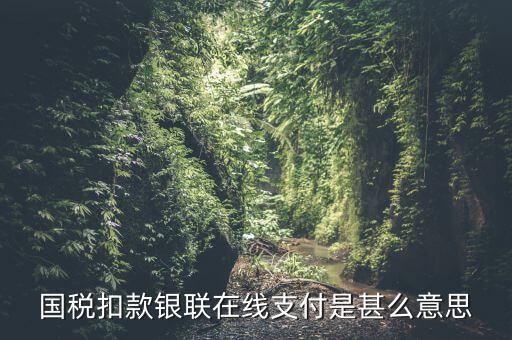 銀聯(lián)劃扣跟連連支付有什么區(qū)別，國(guó)稅扣款銀聯(lián)在線支付是甚么意思