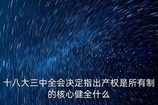 十八大三中全會(huì)決定指出產(chǎn)權(quán)是所有制的核心健全什么