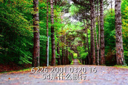 625166是什么銀行，6226 2001 0320 1654是什么銀行