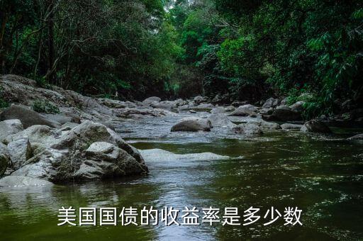 美國(guó)國(guó)債的收益率是多少數(shù)