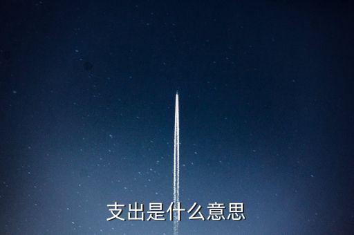 什么是下甩支出，請(qǐng)問會(huì)計(jì)里面的甩帳是什么意思