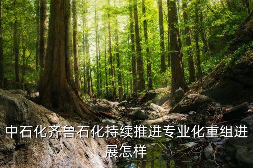 專業(yè)化重組是什么，股票中的重組是什么意思意味者什么對于持股人來說是好是壞