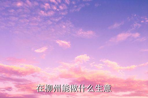 在柳州能做什么生意