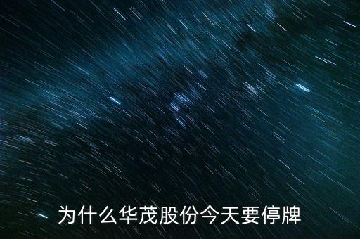 600366今日為什么停牌，600636為什么會停牌