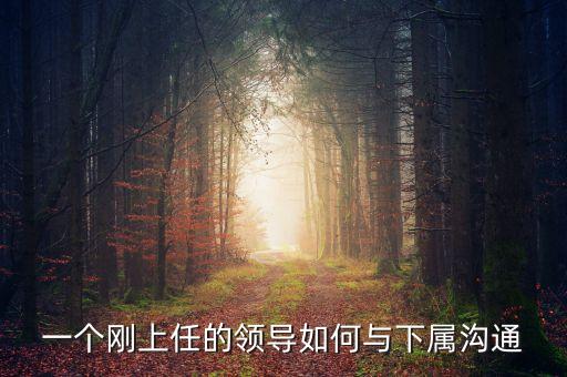 新任董事長應該做什么，董事會換屆選舉怎么做