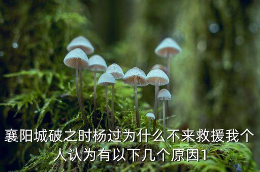 華舟應(yīng)急什么時候上市，被稻葉劃傷時的應(yīng)急處理方法有那些