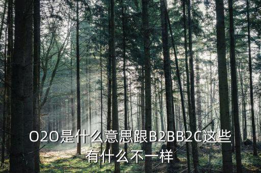 美菜網(wǎng)o2o是什么，O2O是什么意思跟B2BB2C這些有什么不一樣