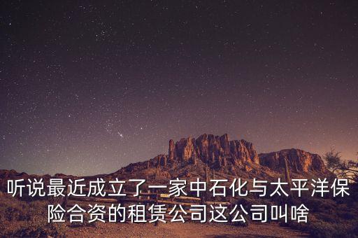 聽說最近成立了一家中石化與太平洋保險(xiǎn)合資的租賃公司這公司叫啥