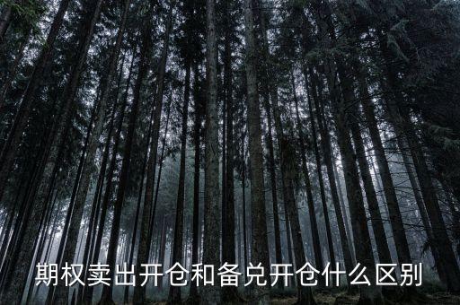 個(gè)股期權(quán)賣出開倉(cāng)什么意思，賣出開倉(cāng)是咋意思