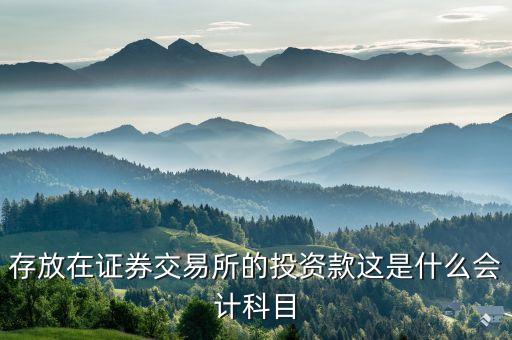 證券投資屬于什么會(huì)計(jì)科目，存放在證券交易所的投資款這是什么會(huì)計(jì)科目