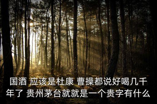 為什么不拿杜康當(dāng)國酒，為什么杜康酒沒有成為中國十大名酒之一