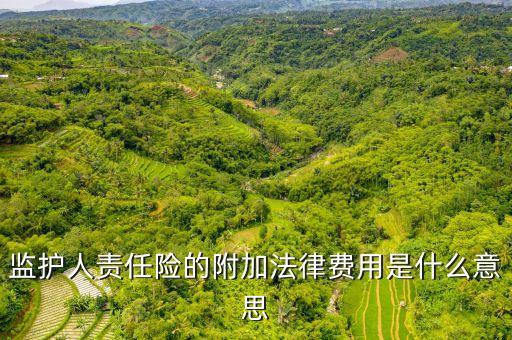 監(jiān)護(hù)人責(zé)任險(xiǎn)的附加法律費(fèi)用是什么意思