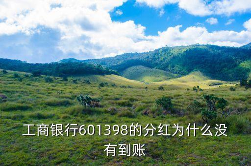 工商銀行601398的分紅為什么沒有到賬