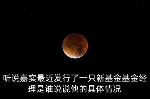 聽(tīng)說(shuō)嘉實(shí)最近發(fā)行了一只新基金基金經(jīng)理是誰(shuí)說(shuō)說(shuō)他的具體情況