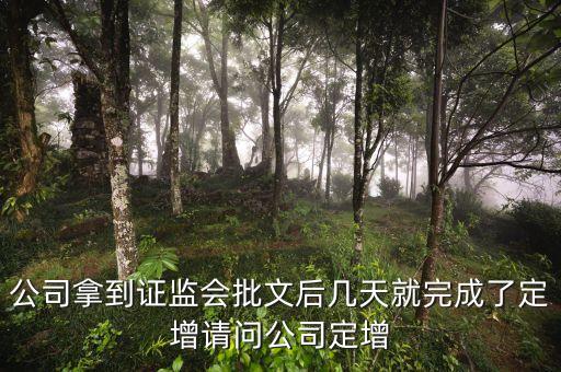 公司拿到證監(jiān)會(huì)批文后幾天就完成了定增請(qǐng)問公司定增