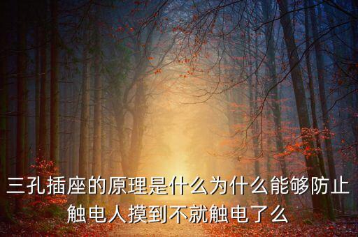 三孔插座的原理是什么為什么能夠防止觸電人摸到不就觸電了么