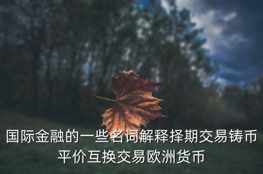 什么是歐洲貨幣貸款，什么是歐洲貨幣呀