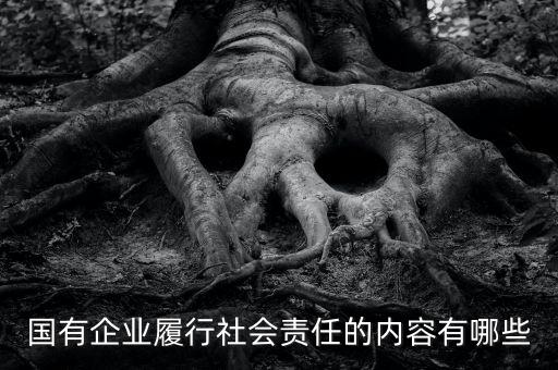 國有企業(yè)履行社會(huì)責(zé)任的內(nèi)容有哪些