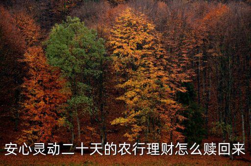 安心靈動20天什么時候可以贖回，安心靈動二十天的農(nóng)行理財怎么贖回來