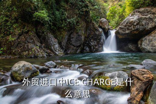 ice布油是什么，外貿(mào)進(jìn)口中ICE CHARGE是什么意思