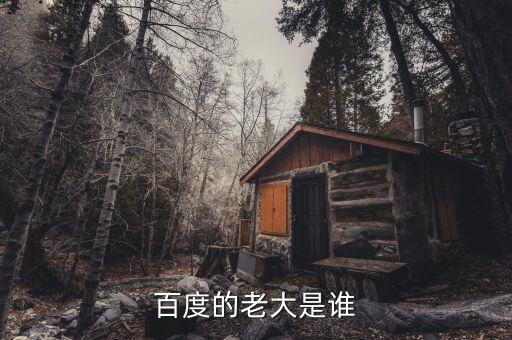 百萬大老板劉從什么的有么，百萬英鎊中的老板是怎樣的人